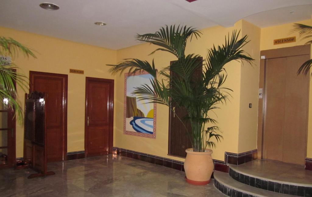 Hotel San Vicente - Centro Playa コニル・デ・ラ・フロンテラ エクステリア 写真